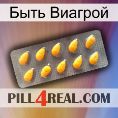 Быть Виагрой cialis1